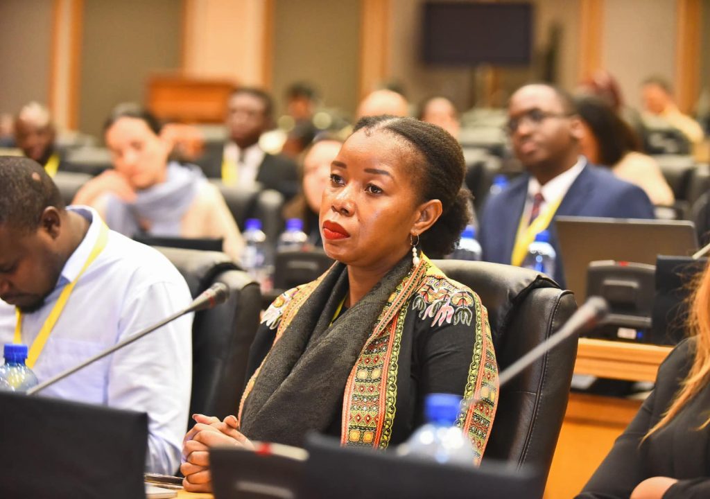 Parliamentary Dialogue with the Pan-African Parliament Civil Society Forum Photo: Pan-African Parliament