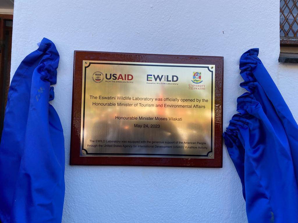 Empowering Wildlife Conservation: The USAID Southern Africa-VukaNow grant, in partnership with the All Out Africa Foundation, has made possible the establishment of Eswatini's first national wildlife laboratory at the University of Eswatini. This cutting-edge facility will play a pivotal role in combating wildlife crime by implementing international best practices. Photo: U.S. Embassy Eswatini