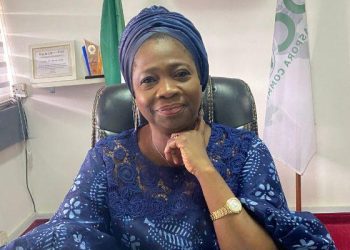 The Chairman of the Nigerians in Diaspora Commission (NIDCOM), Mrs. Abike Dabiri-Erewa. Credit: BusinessDay