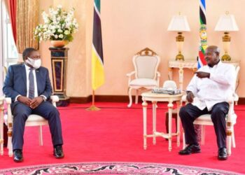 Uganda, Mozambique Aim to Harmonize with Visa-Free Travel Agreement