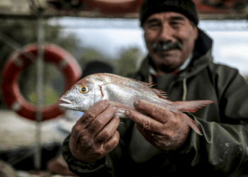 World Food Day: Right to Foods for a Better Life and a Better Future