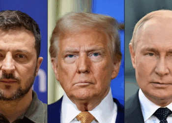 Trump Meets Both Putin and Zelenskyy in Diplomatic Push—Here’s the Timeline
