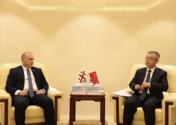 Georgia Seeks Stronger Education Links with China at Global Language Conference