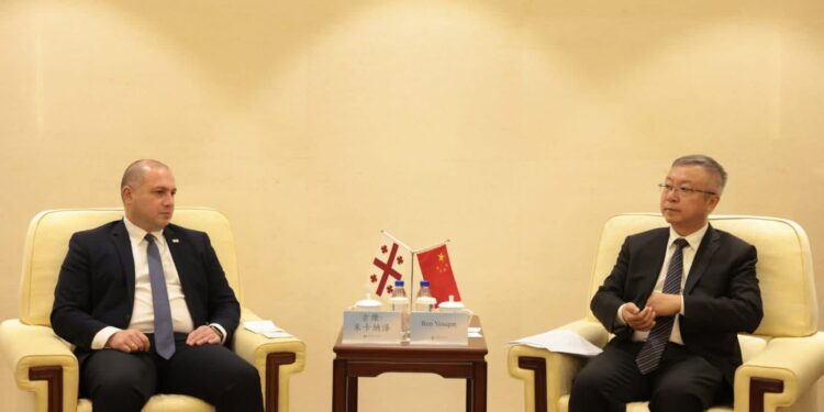 Georgia Seeks Stronger Education Links with China at Global Language Conference