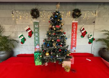 Christmas as a Diplomatic Season: How Embassies Marked the Close of 2025